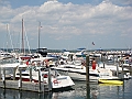Western Michigan [2010] 265